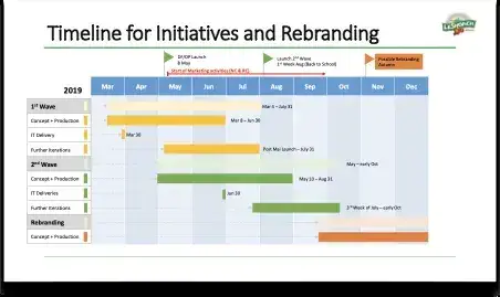 LeShop pitch briefing: Timeline for initiatives and rebranding