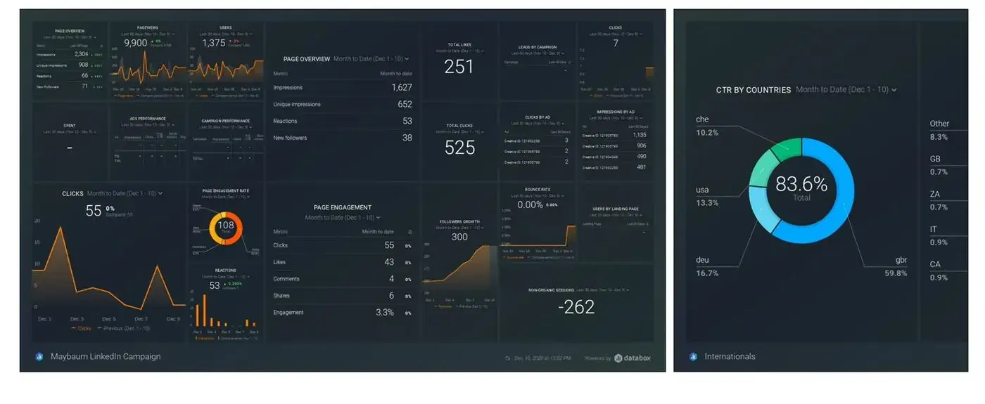 Maybaum LinkedIn Campaign Analytics