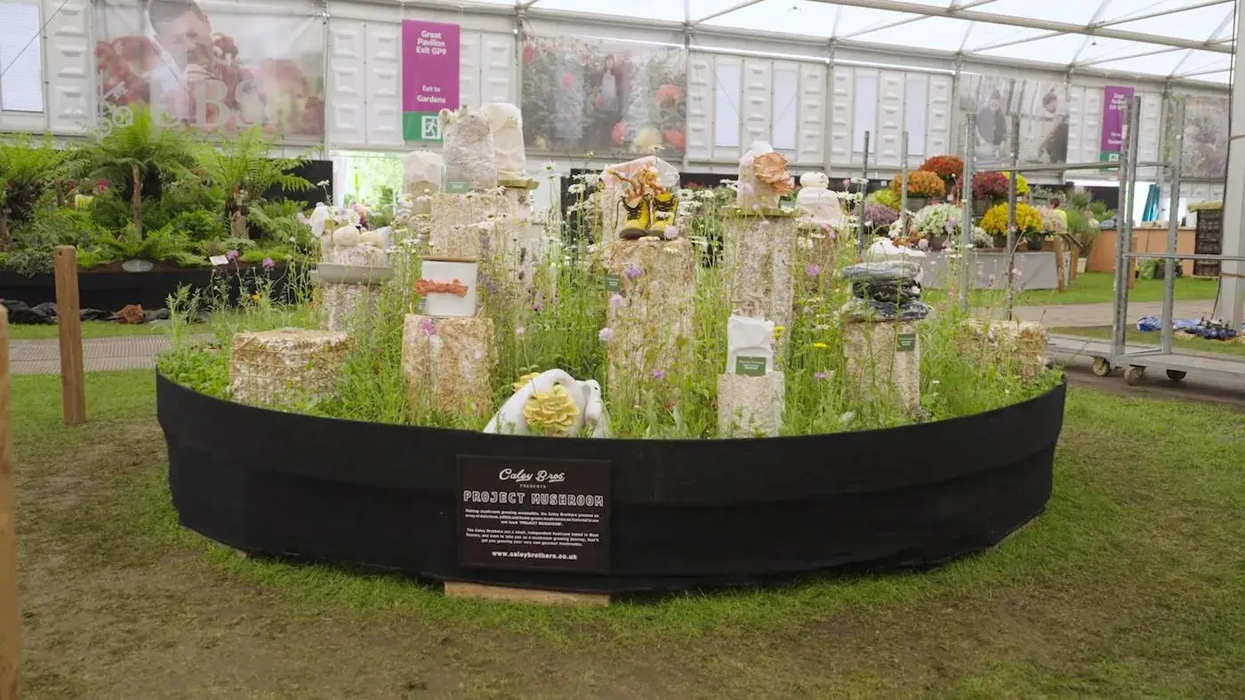 Money Can't Buy: Chelsea Flower Show Experience