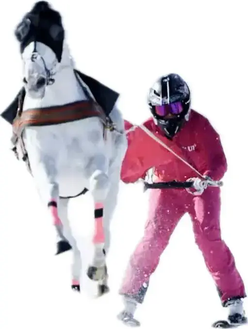 Money Can't Buy: St. Moritz White Turf Experience